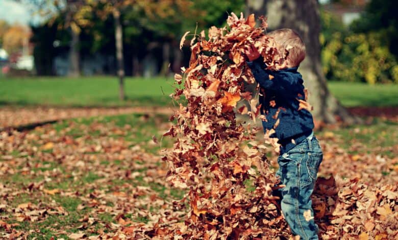 Child-friendly parks feature